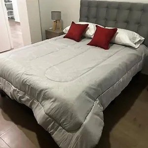 Departamento Zona Centrica Mdz , Mendoza Argentina